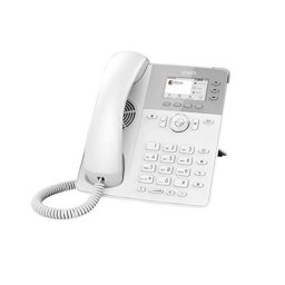 D717 Telefon VoIP Alb