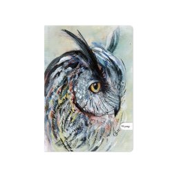 Caiet Aperta, Bufnita, A4, 48 file, 80g, dictando