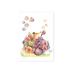 Caiet Aperta, Vulpoiul pofticios, A5, 48 file, 80g, matematica