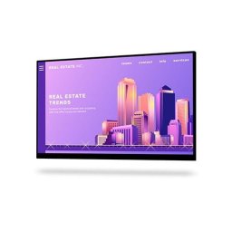 Monitor LED P2422HWOS no Stand
