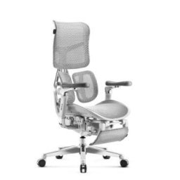 Scaun Gaming Ergonomic Brave V-Kinetic 120kg Gri