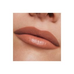 E.Lauder Pure Color Cream Lipstick