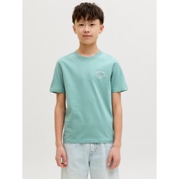 Jack & Jones Tricou cu decolteu la baza gatului, baieti, din bumbac, Regular Fit, Verde deschis (SELECTATI MARIMEA: 164 cm)