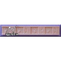 Mulaj Silicon Bordura Palme si Talpi, 19x2.8 cm