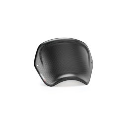 Windshield PUIG FRONTAL PLATE carbon look