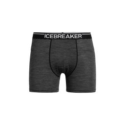 ICEBREAKER Chiloți sport 'Anatomica' gri