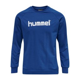 Hummel Hanorac sport albastru / alb