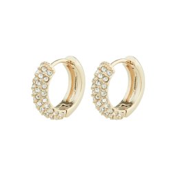 DKNY Cercei auriu / transparent