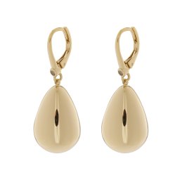 DKNY Cercei auriu / transparent