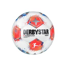 DERBYSTAR Minge mai multe culori / alb