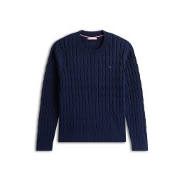 Tommy Hilfiger Curve Pulover bleumarin