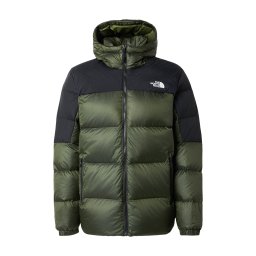 THE NORTH FACE Geacă outdoor 'DIABLO ' verde închis / negru