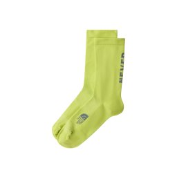THE NORTH FACE Șosete 'Never Stop' gri închis / verde deschis