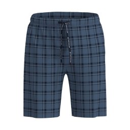 TOM TAILOR Men + Pantaloni de pijama albastru / bleumarin / alb