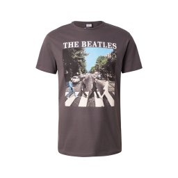 AMPLIFIED Tricou 'THE BEATLES - ABBEY ROAD' albastru deschis / gri metalic / verde smarald / alb
