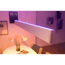Philips Hue Ensis pendant white 79W 24V