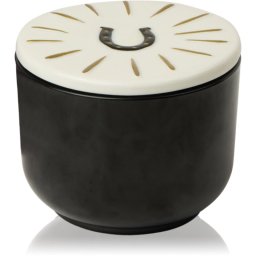 Paddywax Charmed Tabac & Pine lumânare parfumată cu capac 226 g