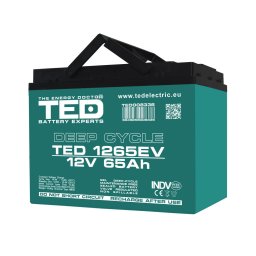 Acumulator AGM VRLA 12V 65Ah Deep Cycle Dimensiuni 224 x 150 x 175 mm Pentru Vehicule Electrice M6 - TED008336 (2)