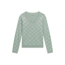 GUESS Pulover 'ROSIE' verde deschis / argintiu