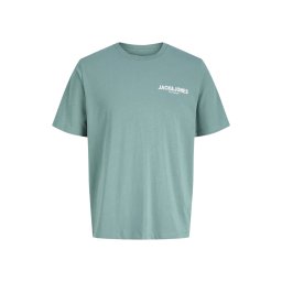 JACK & JONES T-Shirt Jprblaoscar Ss Fst 12302469 18-5612 TCX sagebrush green