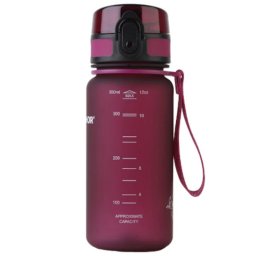 Sticla cu filtru pentru apa Aquaphor City 160028, 350 ml, Tritan, Carbune activ, Aqualen, Capac cu inchidere, Cherry