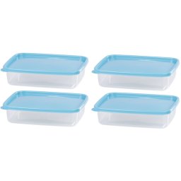 Set 4 caserole pentru alimente MagicHome Lunchbox 1L, dreptunghiulare