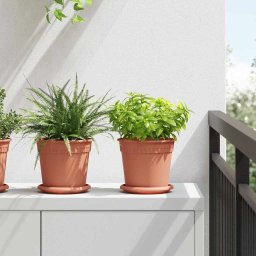Ghivece pentru plante 6 pcs Rosu caramida Ø 17 x 14 cm Plastic GartenMobel Dekor