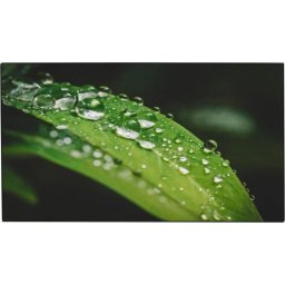 Monitor videowall LCD ADS, DAHUA LS550KDH-UF, 55 inch, 4K UHD 3840 × 2160 pixeli, Luminozitate 700 cd/m², HDMI, Display Port, 60 Hz, 8 ms, Negru