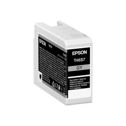 Cartus cerneala Epson C13T46S700, Gri, 25 ml, Original, Pigment, pentru SureColor SC-P700