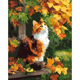 Set pictura pe numere, cu sasiu, Pisica roscata toamna, 40x50 cm