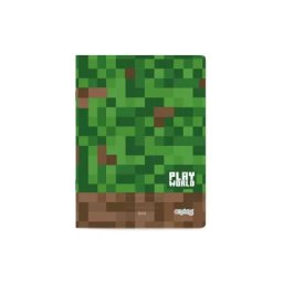 Playworld: Caiet A4, dictando