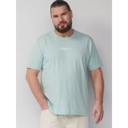s.Oliver Big Sizes Tricou barbati big sizes cu decolteu la baza gatului, logo contrast, Verde menta (SELECTATI MARIMEA: 4XL)