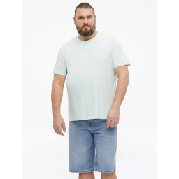 s.Oliver Big Sizes Tricou barbati big sizes cu decolteu la baza gatului, din bumbac, Turcoaz (SELECTATI MARIMEA: 3XL)