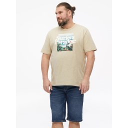 s.Oliver Big Sizes Tricou barbati big sizes cu imprimeu foto si decolteu la baza gatului, Crem (SELECTATI MARIMEA: 2XL)