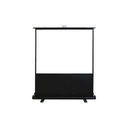 Ecran proiectie podea Pull Up 203.2 x 152.4 Cinema F100NWV format 4:3