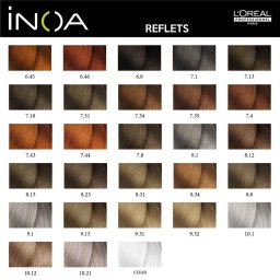 L´Oréal Professionnel Inoa Color 9.1 60 g