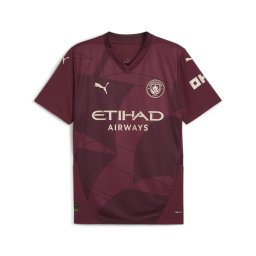 PUMA Tricot 'Manchester City' bej / alb