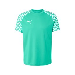 PUMA Tricou funcțional 'teamLIGA26' verde smarald / alb