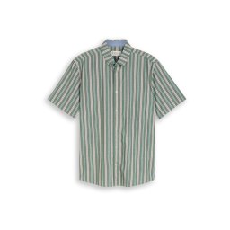 TOM TAILOR Cămașă verde / alb