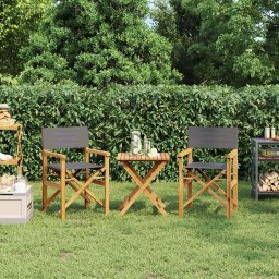 Scaune de regizor pliante, 2 buc., gri, lemn masiv de tec GartenMobel Dekor