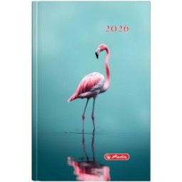 Agenda Datata A5, Motiv Flamingo, 352 Pagini, Coperta Buretata, 2026