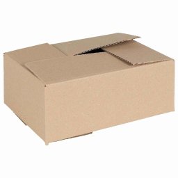 Cutie Pliabila 50 pcs natural 25 x 17,5 x 10 cm Carton GartenMobel Dekor
