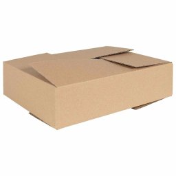 Cutie Pliabila 50 pcs natural 40 x 30 x 10 cm Carton GartenMobel Dekor