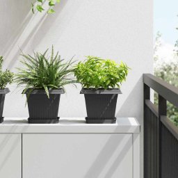 Tava Patrata pentru Flori 6 pcs Negru 15 x 15 x 2 cm Plastic GartenMobel Dekor