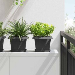 Tava Patrata pentru Flori 6 pcs Negru 18 x 18 x 2 cm Plastic GartenMobel Dekor