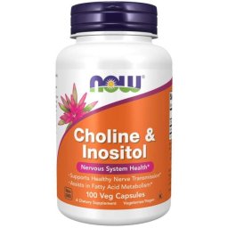 NOW Foods Choline & Inositol 500 mg 100 caps.