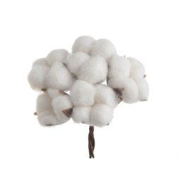 Buchet 5 flori bumbac pentru aranjamente florale set 2 buc