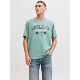 Jack & Jones Tricou cu decolteu la baza gatului, barbati, Standard fit, Verde deschis (SELECTATI MARIMEA: S)