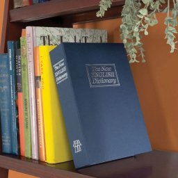 Dictionar seif secret cu cifru L
