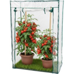 Mini sera de gradina cu folie Strend Pro 100x50x150 cm